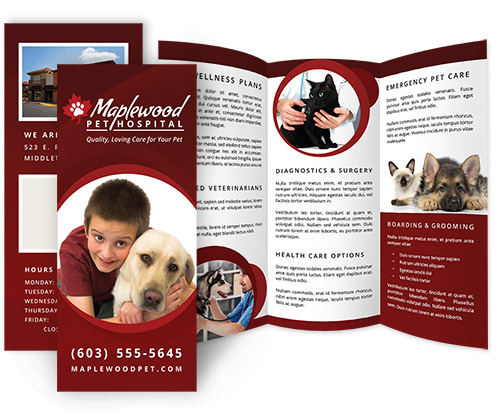 veterinary practice brochures