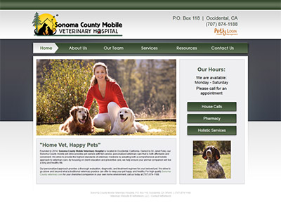 custom veterinary websites