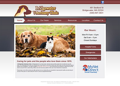 veterinary clinic website design